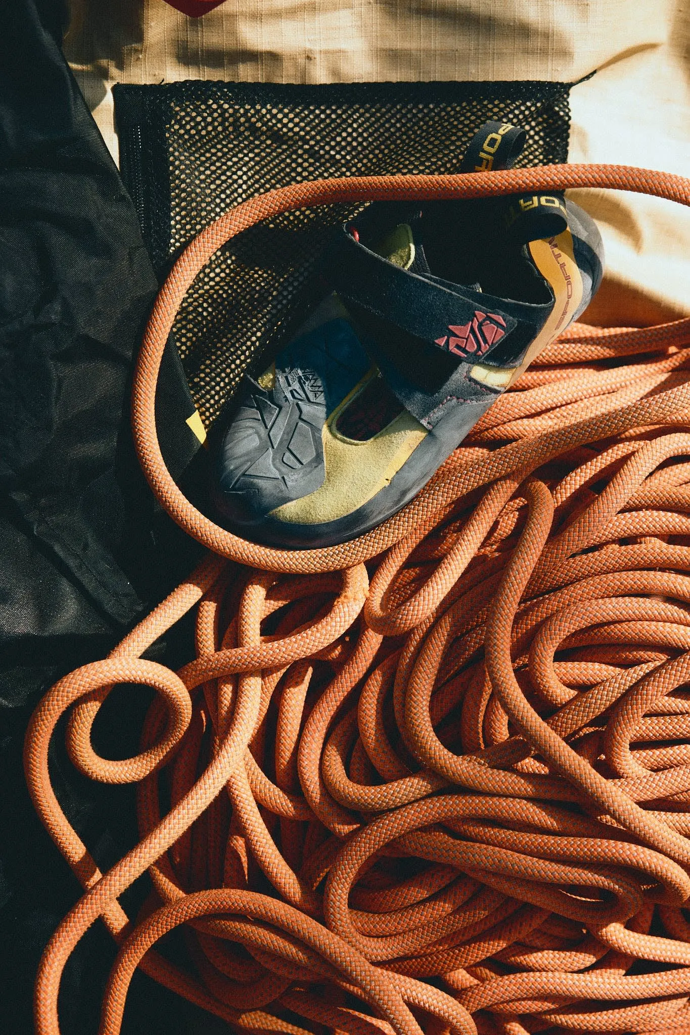 Close-up of a climbing shoe resting on coiled orange rope, surrounded by other climbing gear in soft natural light.